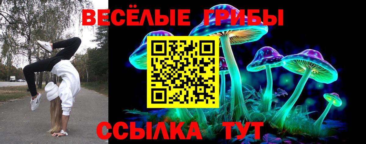 Галлюциногенные грибы ЛСД Нягань